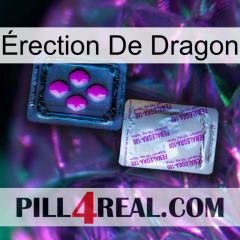Érection De Dragon 37